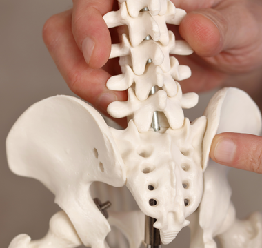 Pelvic girdle and lower back pain during pregnancy and the postpartum period
