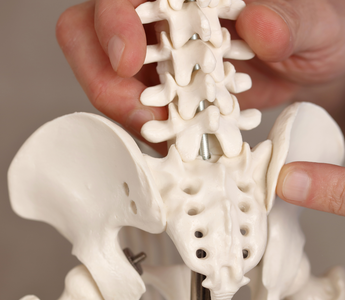 Pelvic girdle and lower back pain during pregnancy and the postpartum period